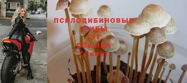 меф Армянск