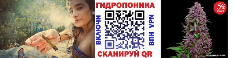 Конопля марихуана Купить Белово